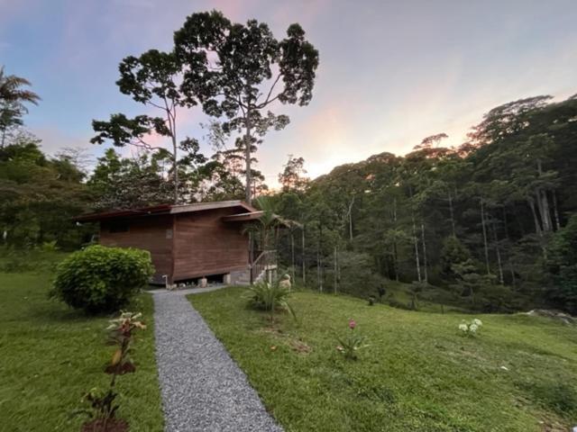 Siquirres Mountain Lodge Siqurres Da Alegria Εξωτερικό φωτογραφία