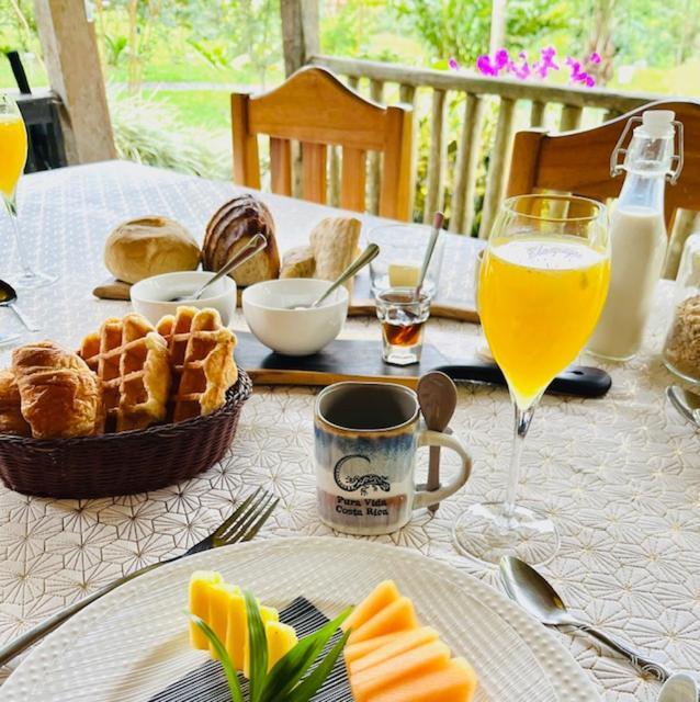 Siquirres Mountain Lodge Siqurres Da Alegria Εξωτερικό φωτογραφία